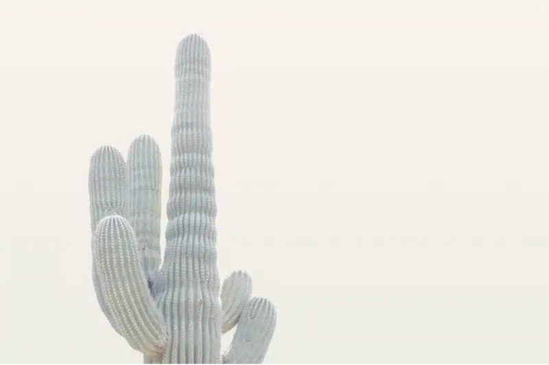 Top 5 Ways to Reduce Your Environmental Impact