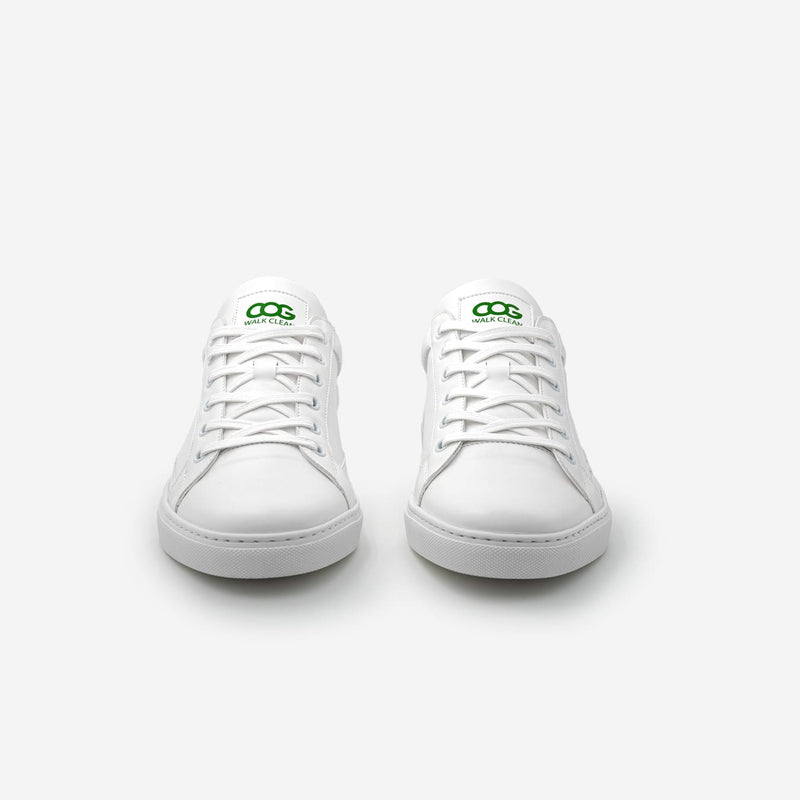 Winton Vegan Sneaker - White / Green Unisex